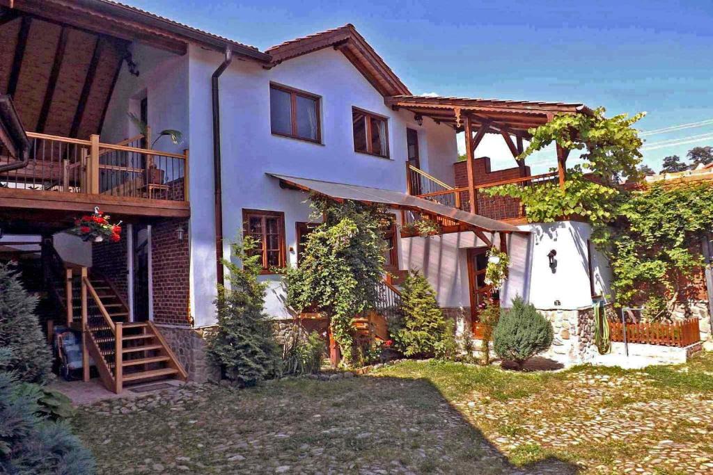 Saliste House | Casa Pelu