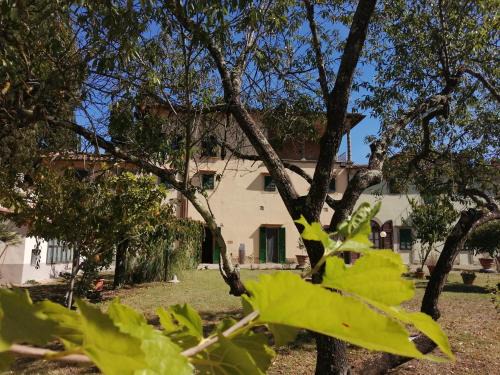 Impruneta Bed & Breakfast | Casa per la Pace