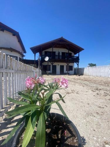 Vadu House | Casa Pescareasca - Complex Plaja Golf