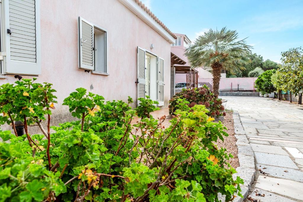 Paduledda Apartment | Casa Piero