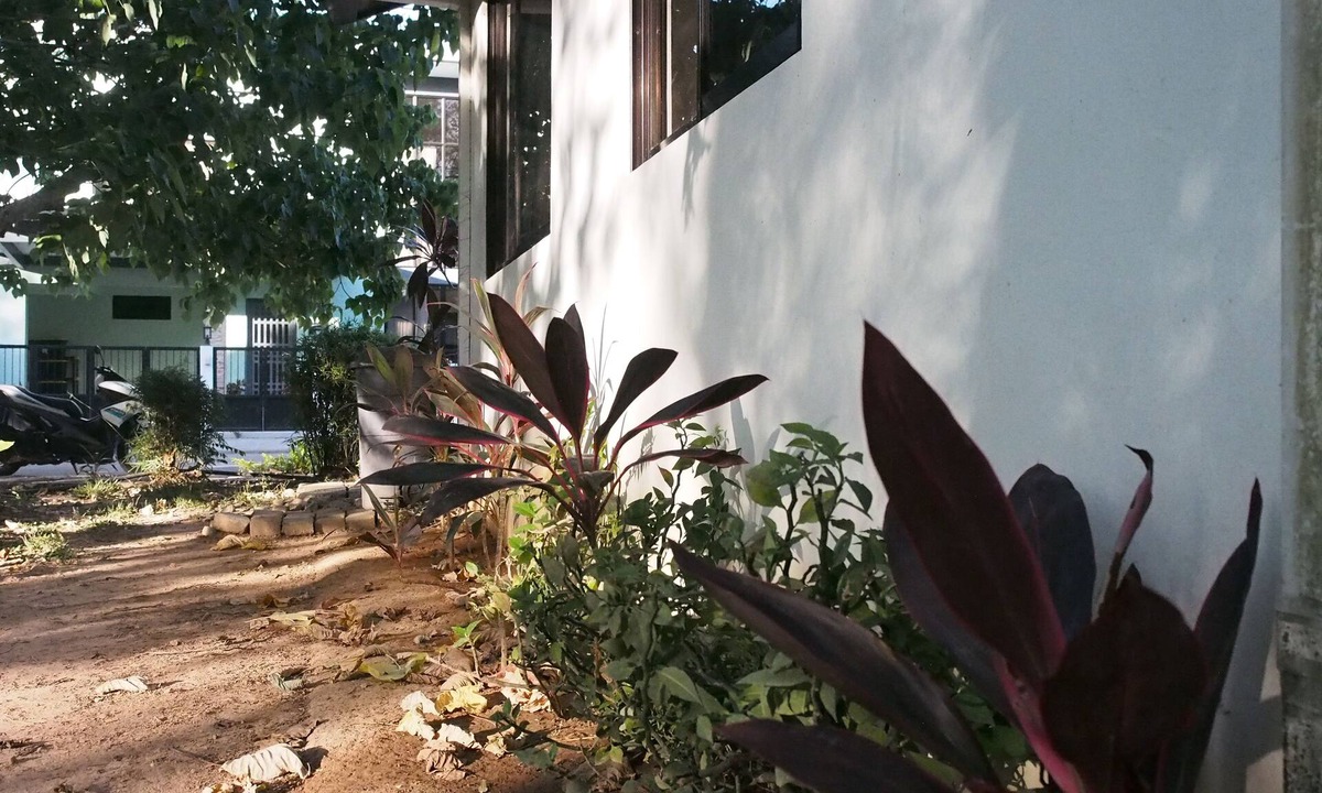 Coron House | Casa Rafael Coron