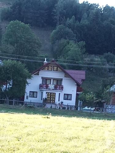 Vidra House | Casa Rares Toc