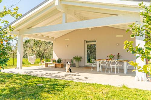 Rosignano Marittimo House | Casa RiVa - Among olive trees and the Tuscan coast