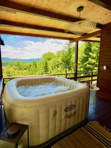 Hangu Ski Chalet | Casa Rogin Chalet