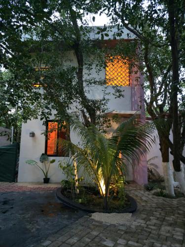 Akumal House | Casa Rosse
