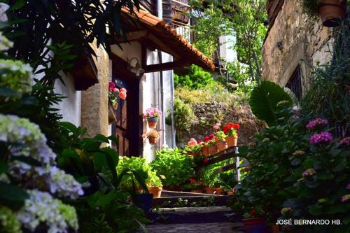 Mogarraz House | Casa Rural Amparo