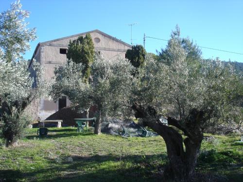 Ibi House | Casa Rural Masía Barbera