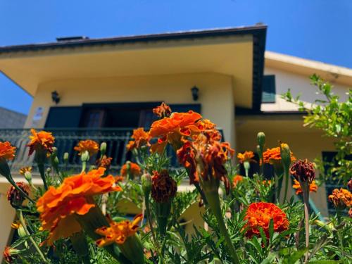 Barcelos House | Casa São Simão