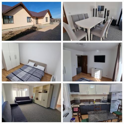 Letea Veche House | Casa Sava