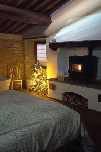 San Giovanni alla Vena House | Casa Serena