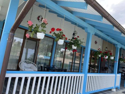 Mahmudia Bed & Breakfast | Casa Sheila