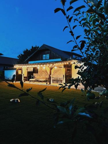 Douazeci si Trei August House | Casa Simon