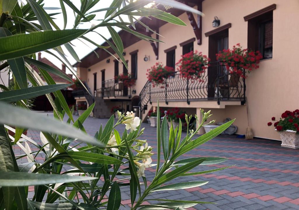 Sacele House | Casa Stanciu