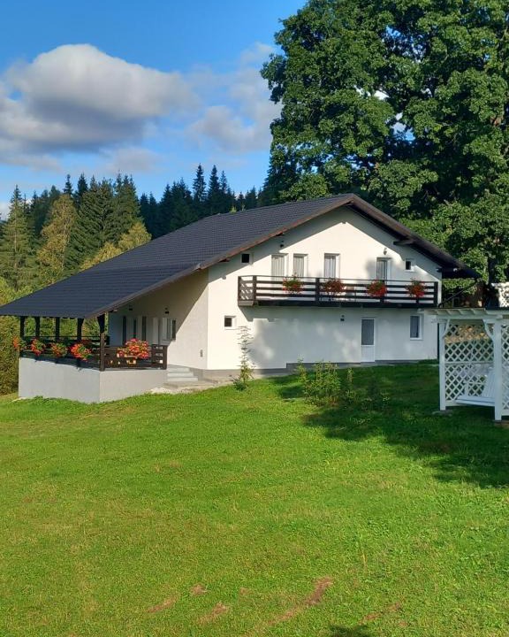 Cozanesti Villa | Casa Stejarului