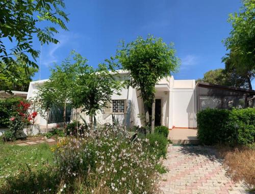 Fontanelle House | Casa Stella