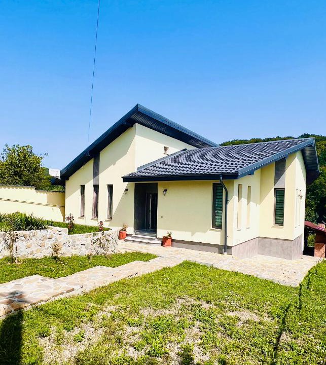 Bacau County Villa | Casa Syrinx
