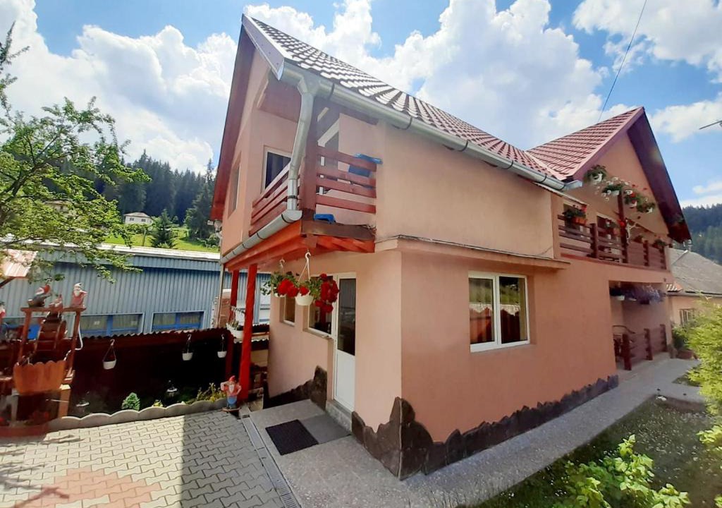 Borsec House | Casa Teo