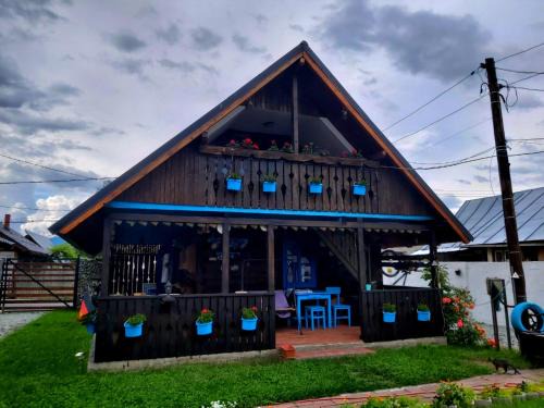 Viseu de Sus Hostel | Casa Toth