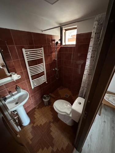 Cartisoara House | Casa Tradițională Cârtisoara