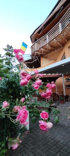 Turda House | Casa Tudor Turda