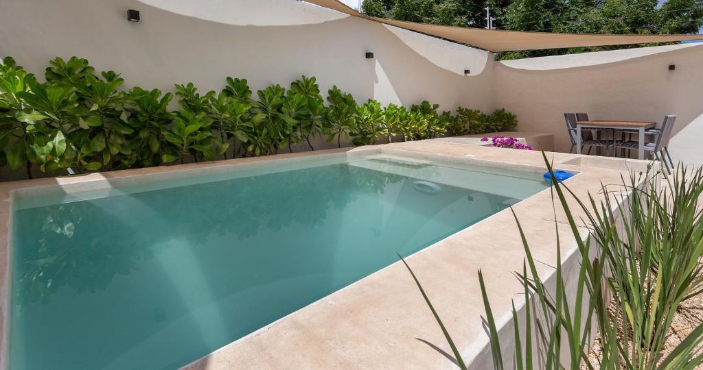 Merida House | Casa Venado