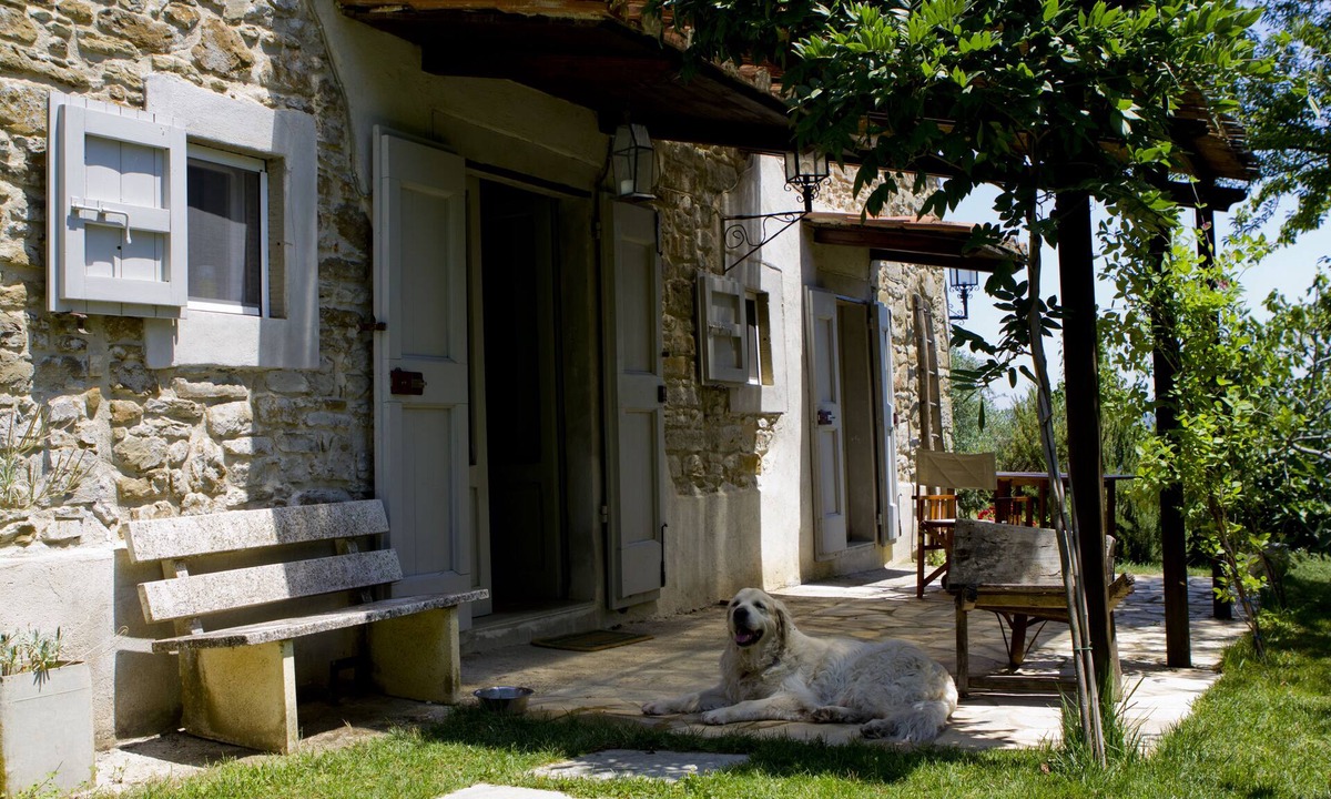 Monte Santa Maria Tiberina House | Casa Verde