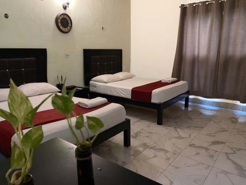 Valladolid Hotel | Casa Vidal Hotel