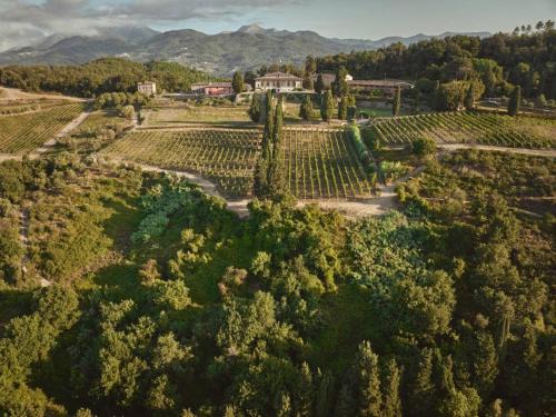 Villabuona House | Casale Toscano a Lucca