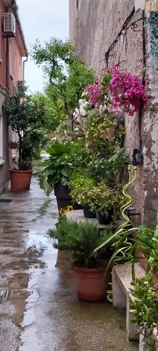 Comacchio Apartment | CasaLina
