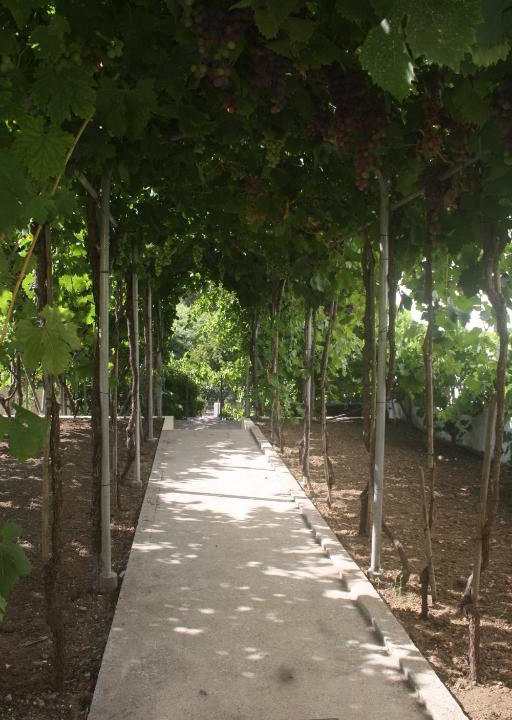 Amiais de Baixo House | CasaTioManel