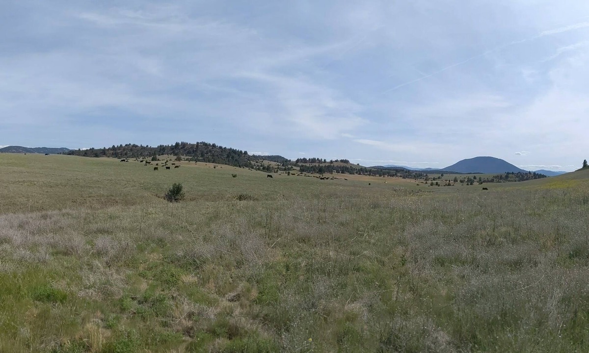 Hornbrook RV Rental | Cascade Valley Wonderland campground in Hornbrook perfect for outdoor adventures