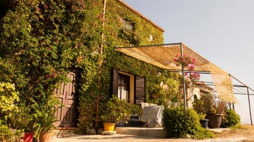 Caltabellotta House | Case Troccoli