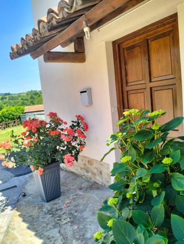 Camerana House | Casetta delle rose