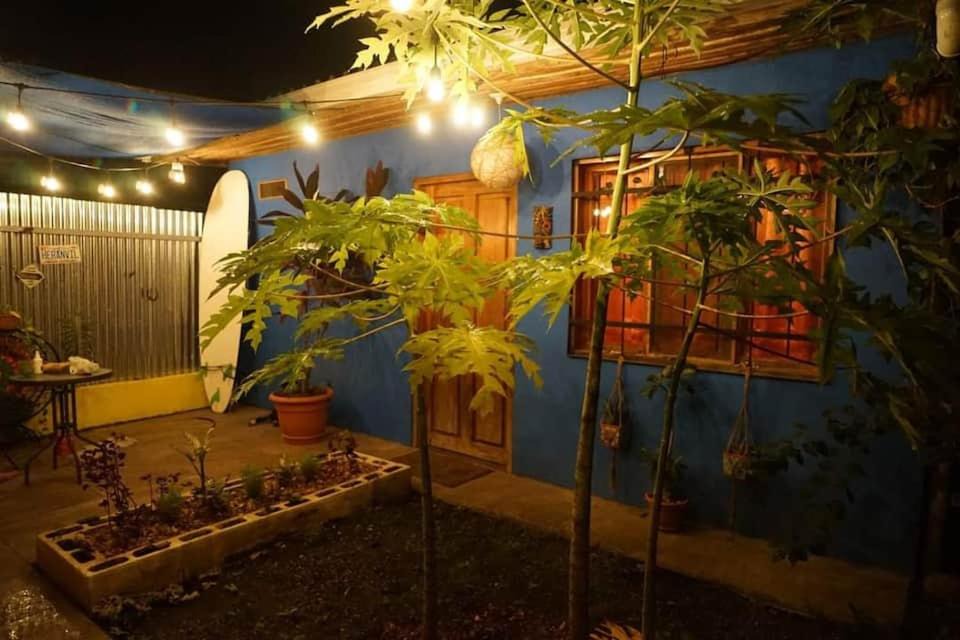 Samara House | Casita Olivia