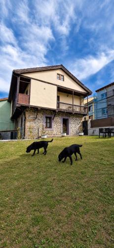 Riosa Apartment | Casona Sariego