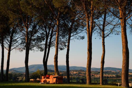 Castiglione della Valle Apartment | Castello Monticelli
