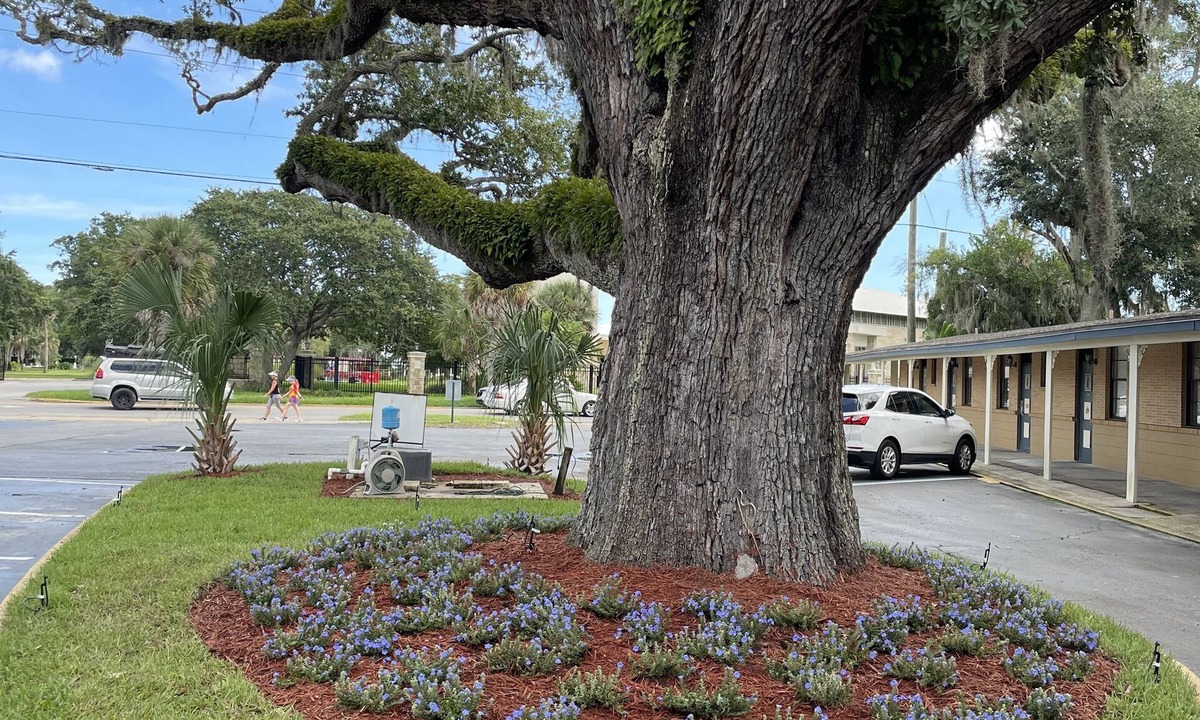 St. Augustine Hotel | Castillo Inn