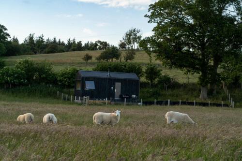 St George House | Castor