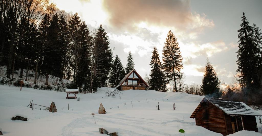 Romuli Ski Chalet | Casuta Cerbului A