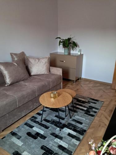 Dobra Apartment | Cazare Apartament
