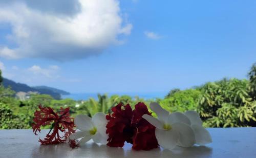 Mahe Island House | Cella Villa