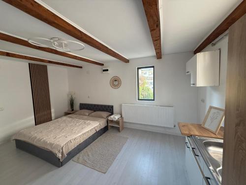 Dragasani Apartment | Center