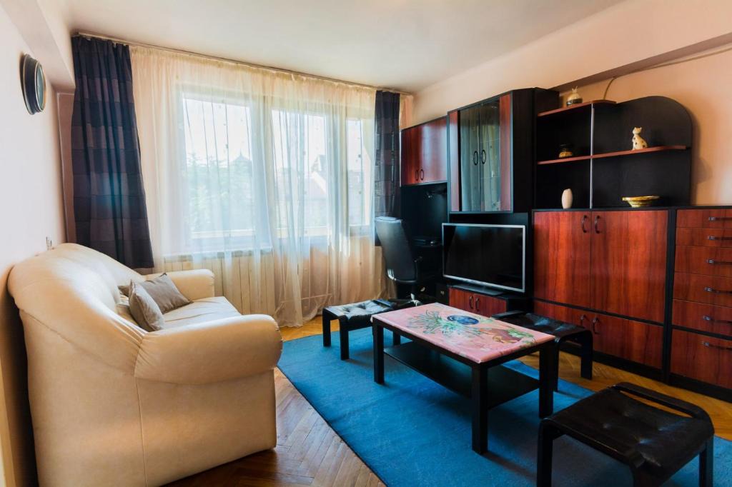 Tirgu Mures Apartment | Center View