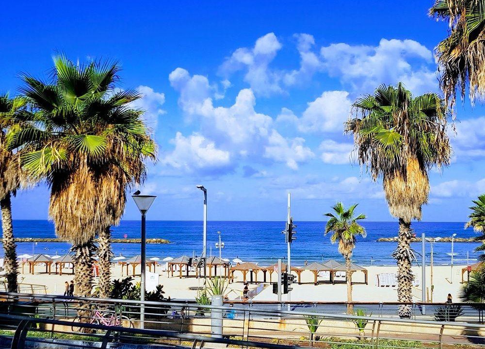 Tel Aviv Promenade Hotel | Central Hotel