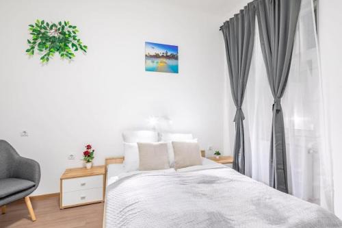 Nepszinhaz negyed Apartment | Central Simple Studio