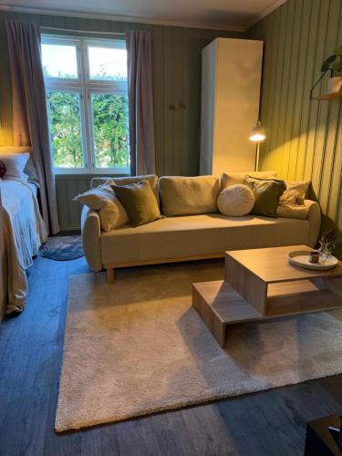 Notodden Apartment | Central Studio apartment