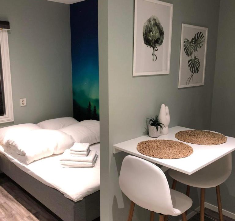 Stavanger Apartment | Central studio apartment Apt 104