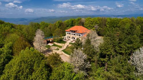 Izvoranu Hotel | Cetatuia