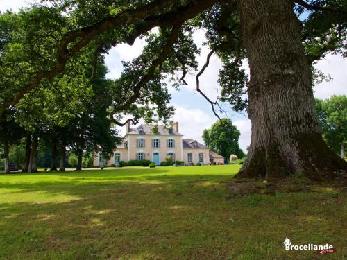 Iffendic Bed & Breakfast | Château Du Pin - Teritoria