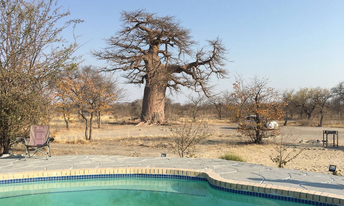 Gweta Hostel | Chaixara Backpackers